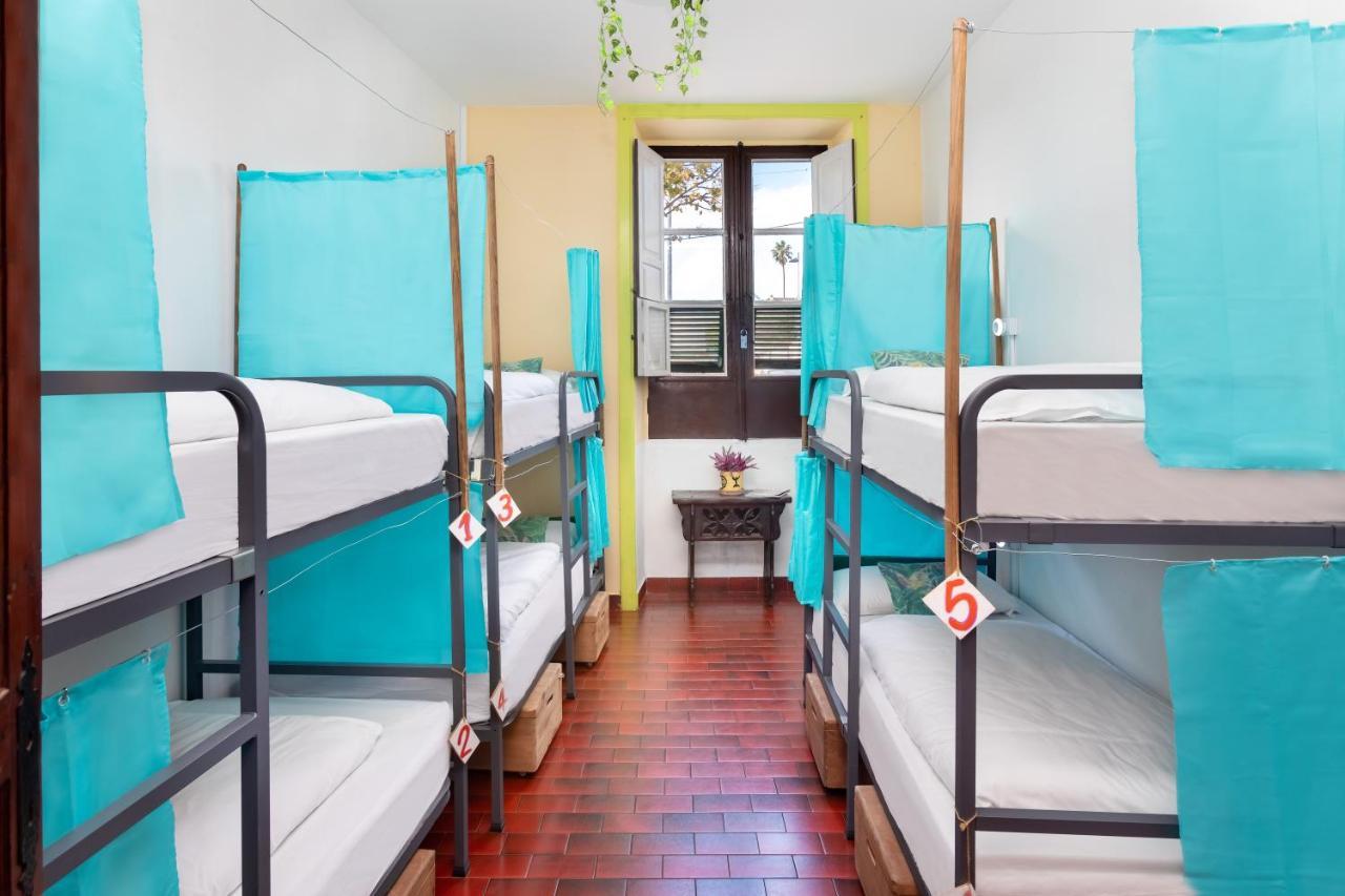 Bed 6-Bed Mixed Dormitory Room