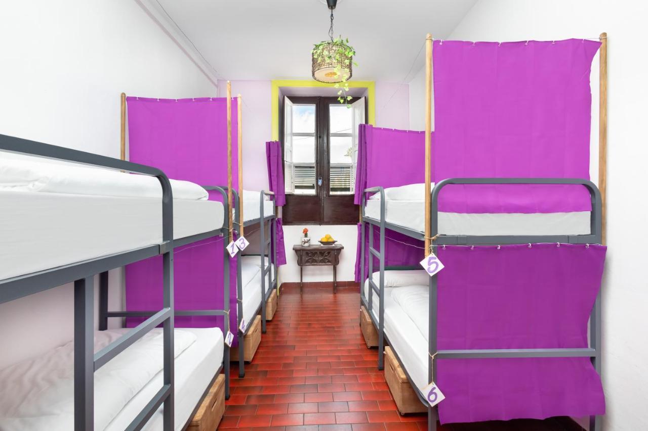 Bed 6-Bed Mixed Dormitory Room