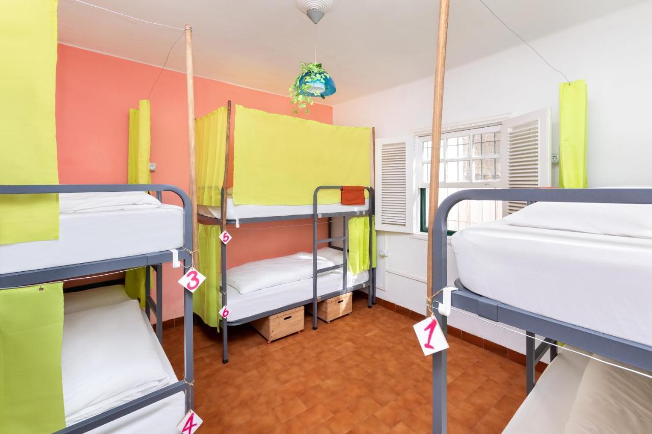 Bed 6-Bed Mixed Dormitory Room
