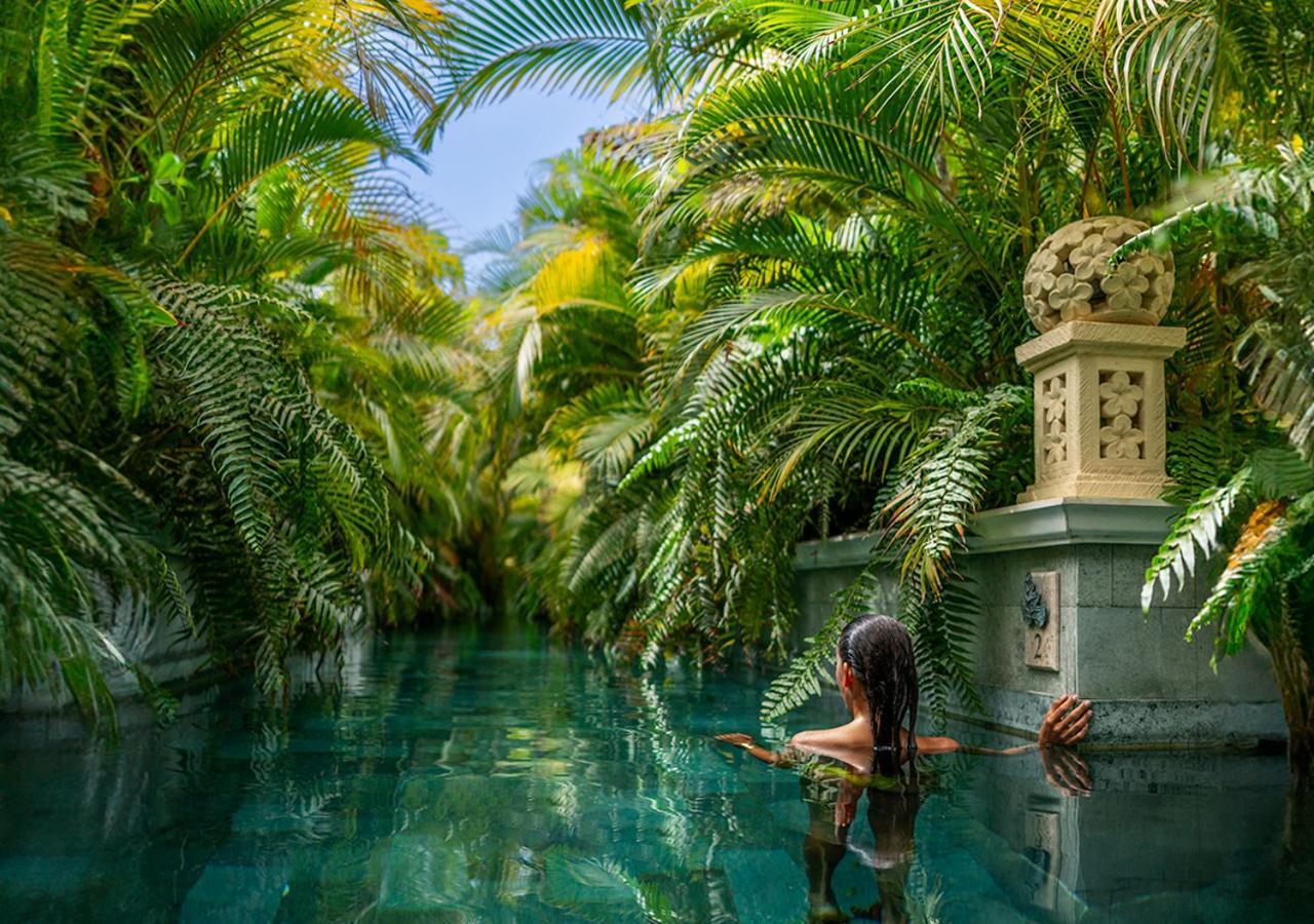 One-Bedroom River Villa private pool swim up to the river