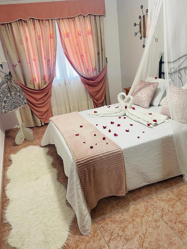 Apartment Terrace