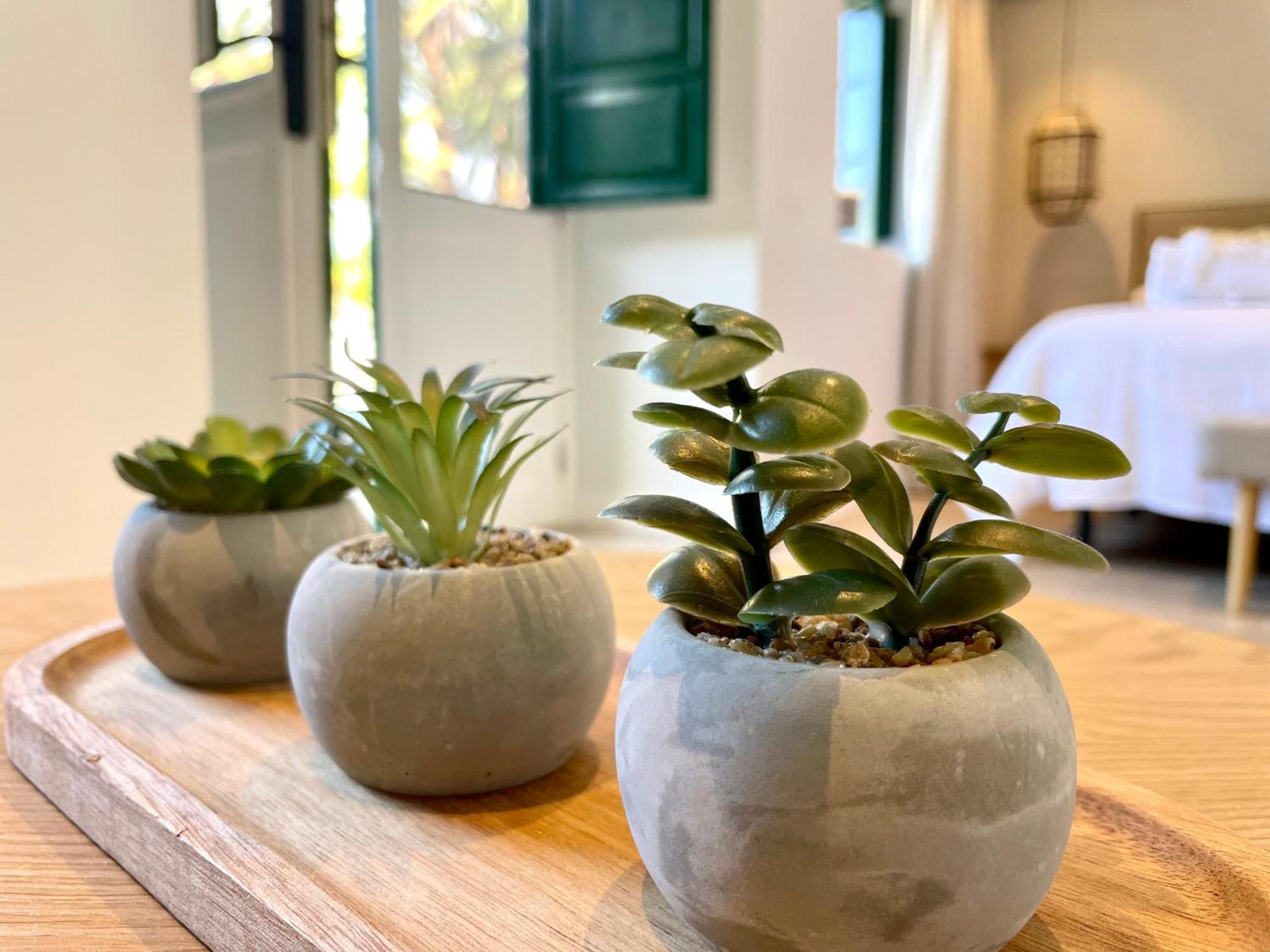 Suite Garden View