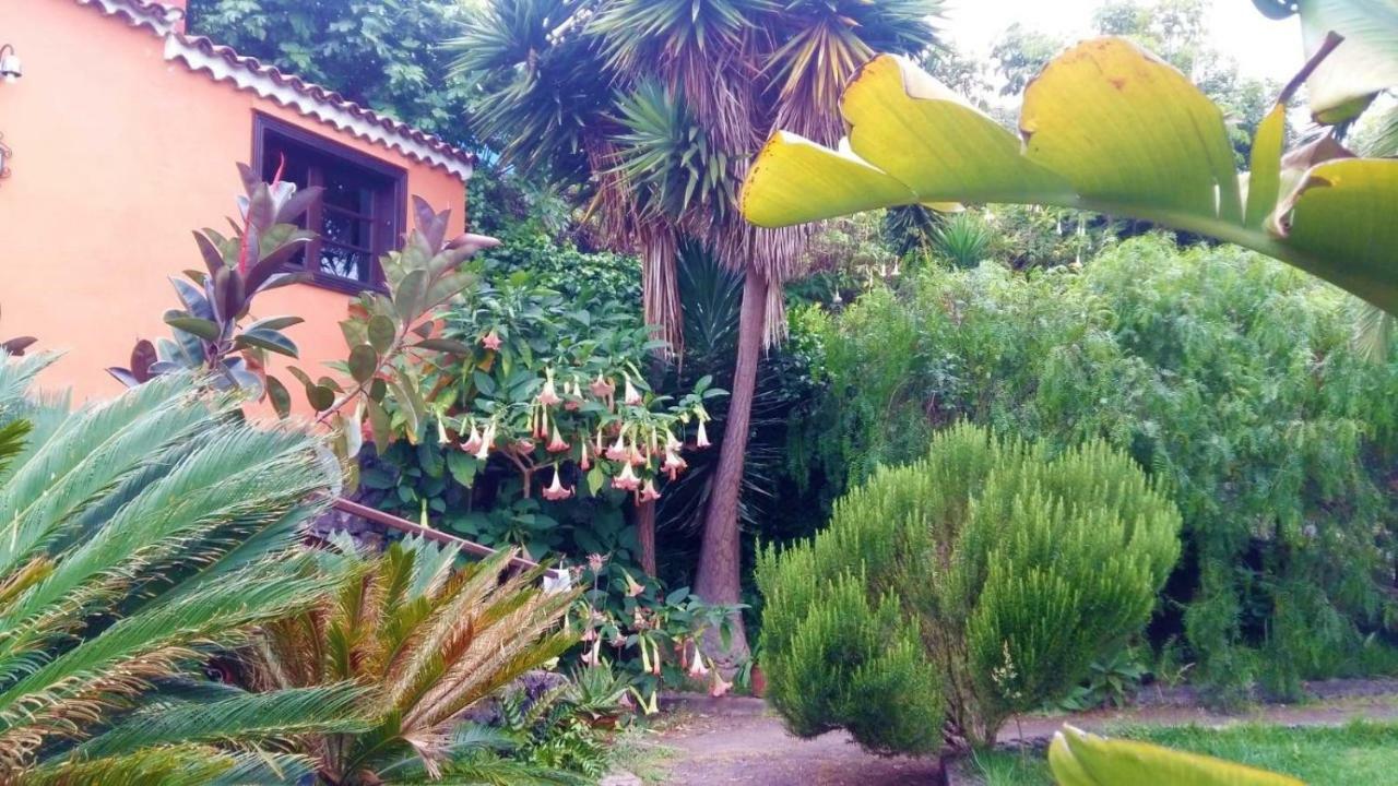 One-Bedroom Villa Terrace