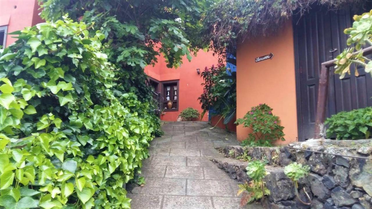 One-Bedroom Villa Terrace
