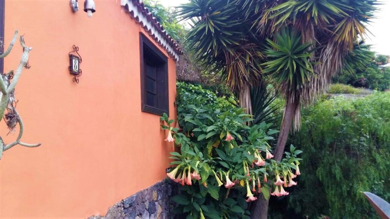 One-Bedroom Villa Terrace