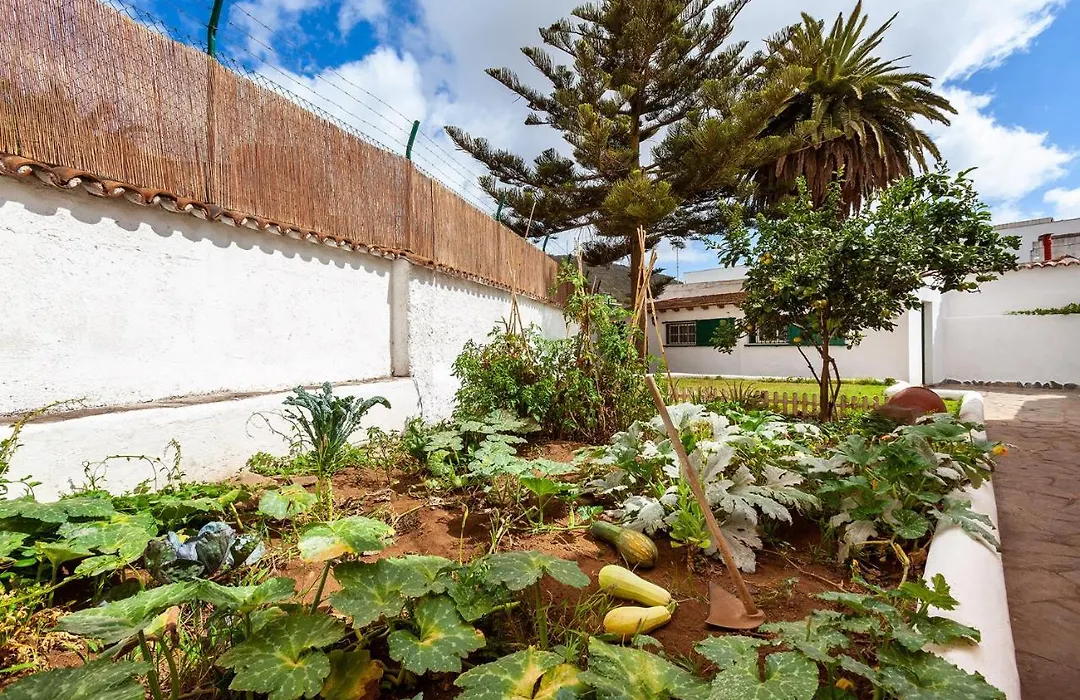 Patio Hostel (Adults Only)-1