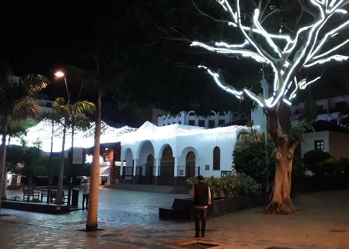 Huisdiervriedelijke Edificio Gavota Appartement Los Cristianos 