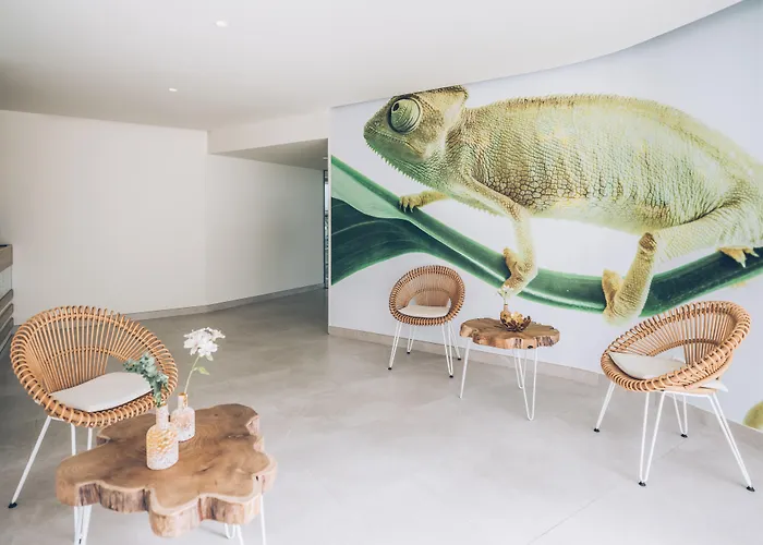 Hotels in de buurt van Beach Mate Resorts