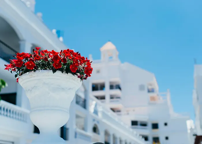 Hotel a 4 stelle a Los Cristianos (Tenerife)