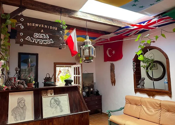 Casa Antonia Guest House Icod De Los Vinos