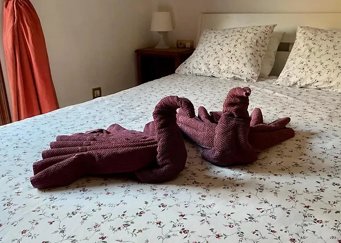 Huisdiervriedelijke Bedroom Medanomar 1 El Médano