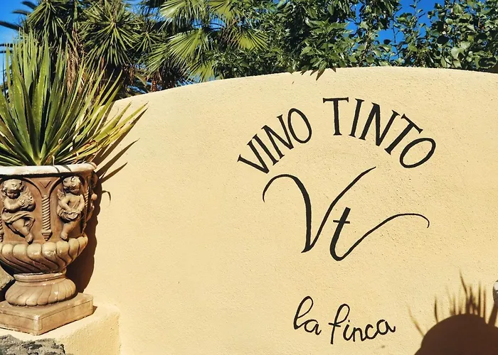 Finca Vino Tinto 1 Icod De Los Vinos