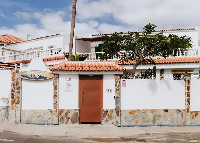 Endless Summer Hostel (Adults Only) Costa Adeje  acceptant les animaux