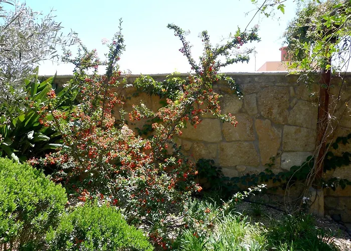 Hotel Rural San Miguel - Only Adults San Miguel de Abona