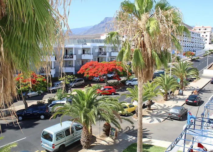 Fn Funchal Tenerife Los Cristianos 