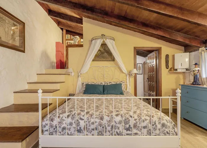 Casa Palmera Tacoronte
