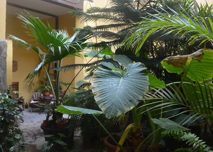 Hotel Casa Colonial Cejas Santa Cruz de Tenerife