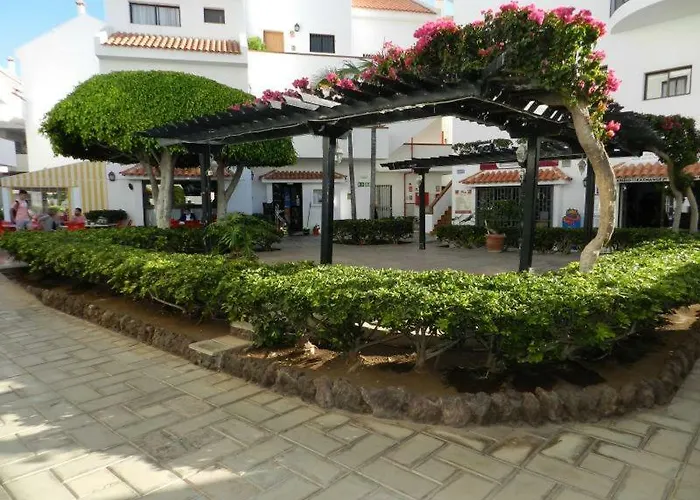 Haustierfreundliches Apartment Cristian Sur Los Cristianos 