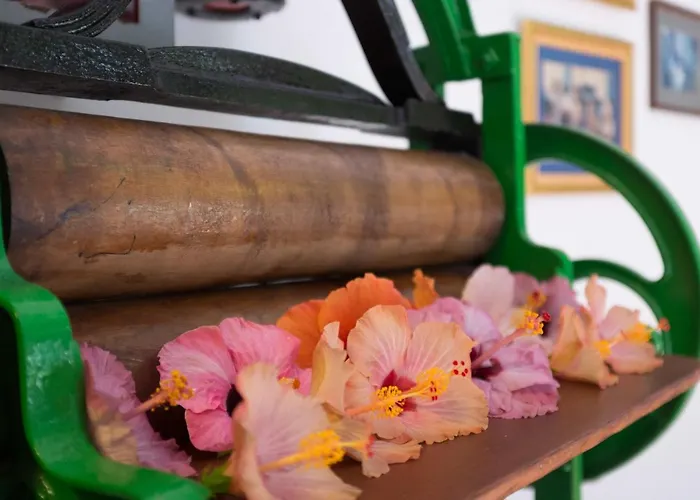 Hotéis centrais em Puerto de la Cruz (Tenerife)