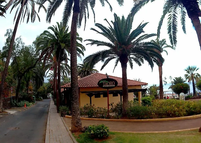 Pet friendly Estudio Brillante, Confortable Y Agradable Puerto de la Cruz 