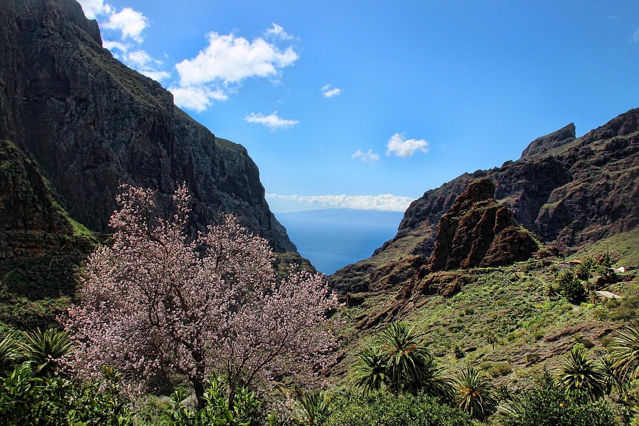 tenerife masca gola natura